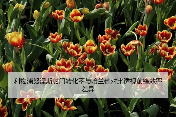 利物浦努涅斯射门转化率与哈兰德对比透视前锋效率差异